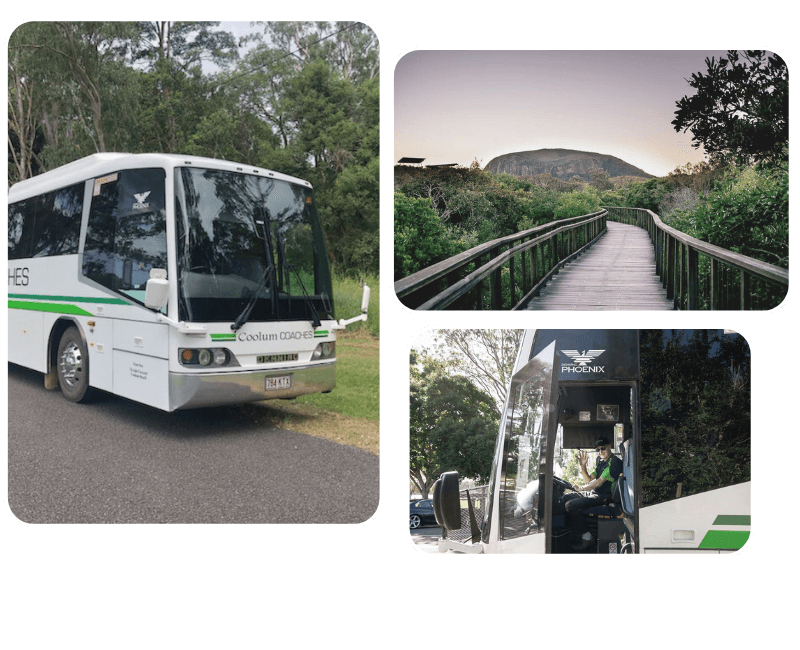 A group of images included a charter bus from coolum coaches and a view of Mt Coolum on the Sunshine Coast